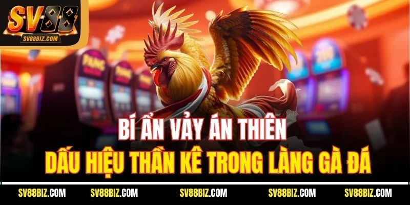 Bí Ẩn Vảy Án Thiên – Dấu Hiệu Thần Kê Trong Làng Gà Đá