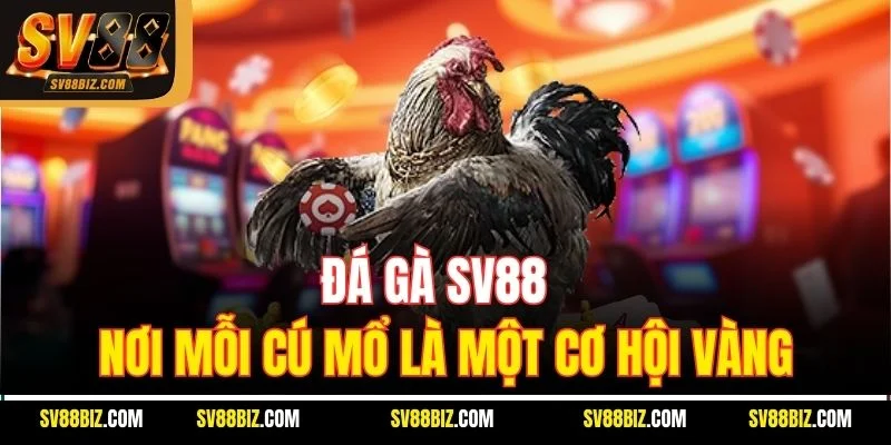Đá Gà SV88 – Nơi Mỗi Cú Mổ Là Một Cơ Hội Vàng