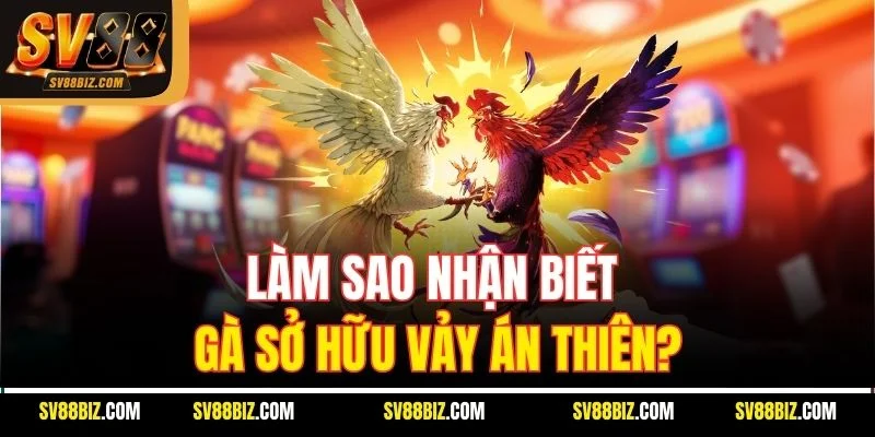 Làm Sao Nhận Biết Gà Sở Hữu Vảy Án Thiên?