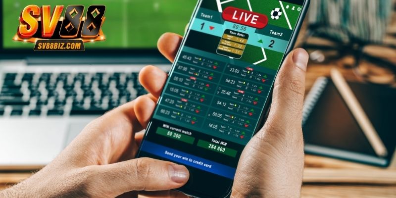 Cách đọc và tính tiền thưởng khi cược thể thao